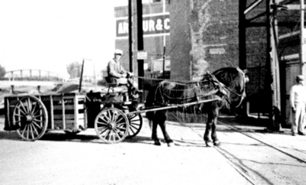 stockyards horse wagon.jpg